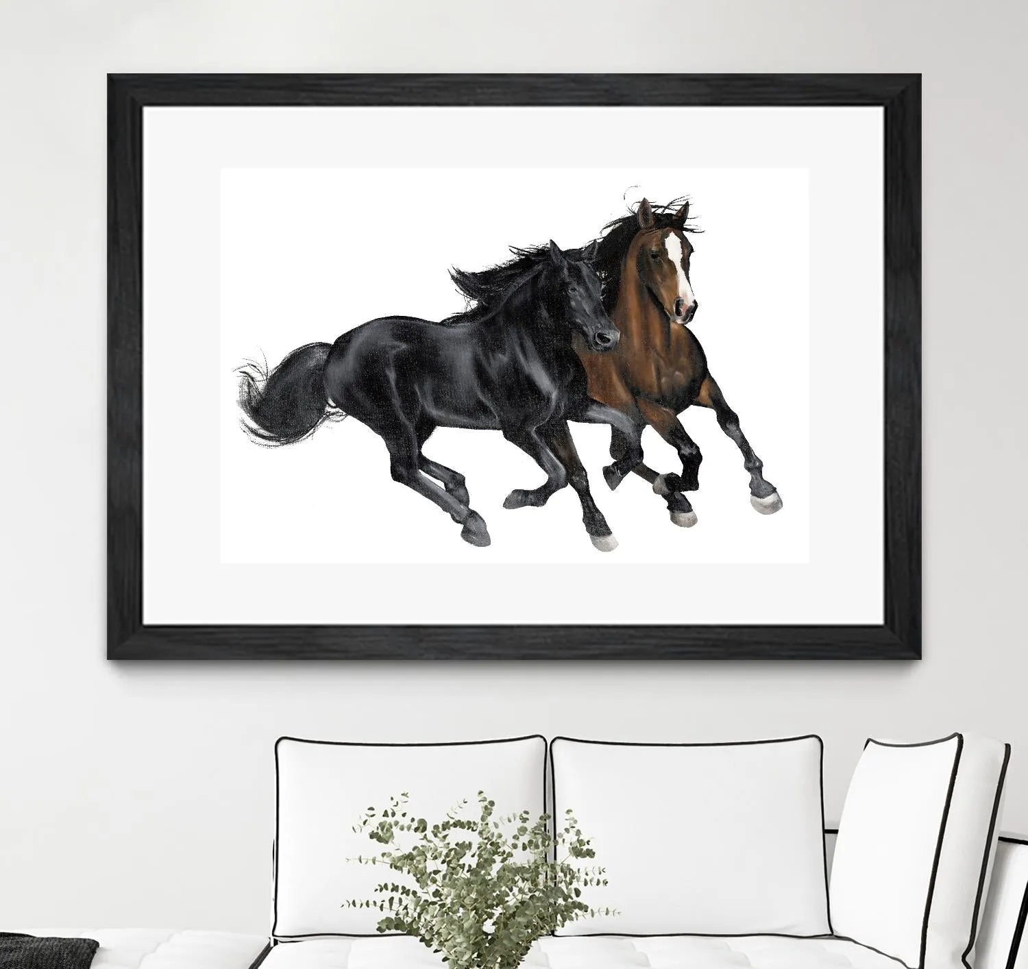 Black & Brown Horse