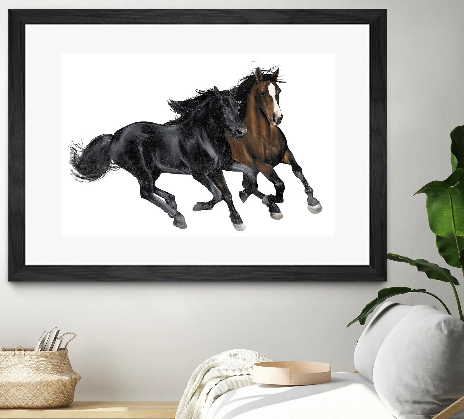 Black & Brown Horse