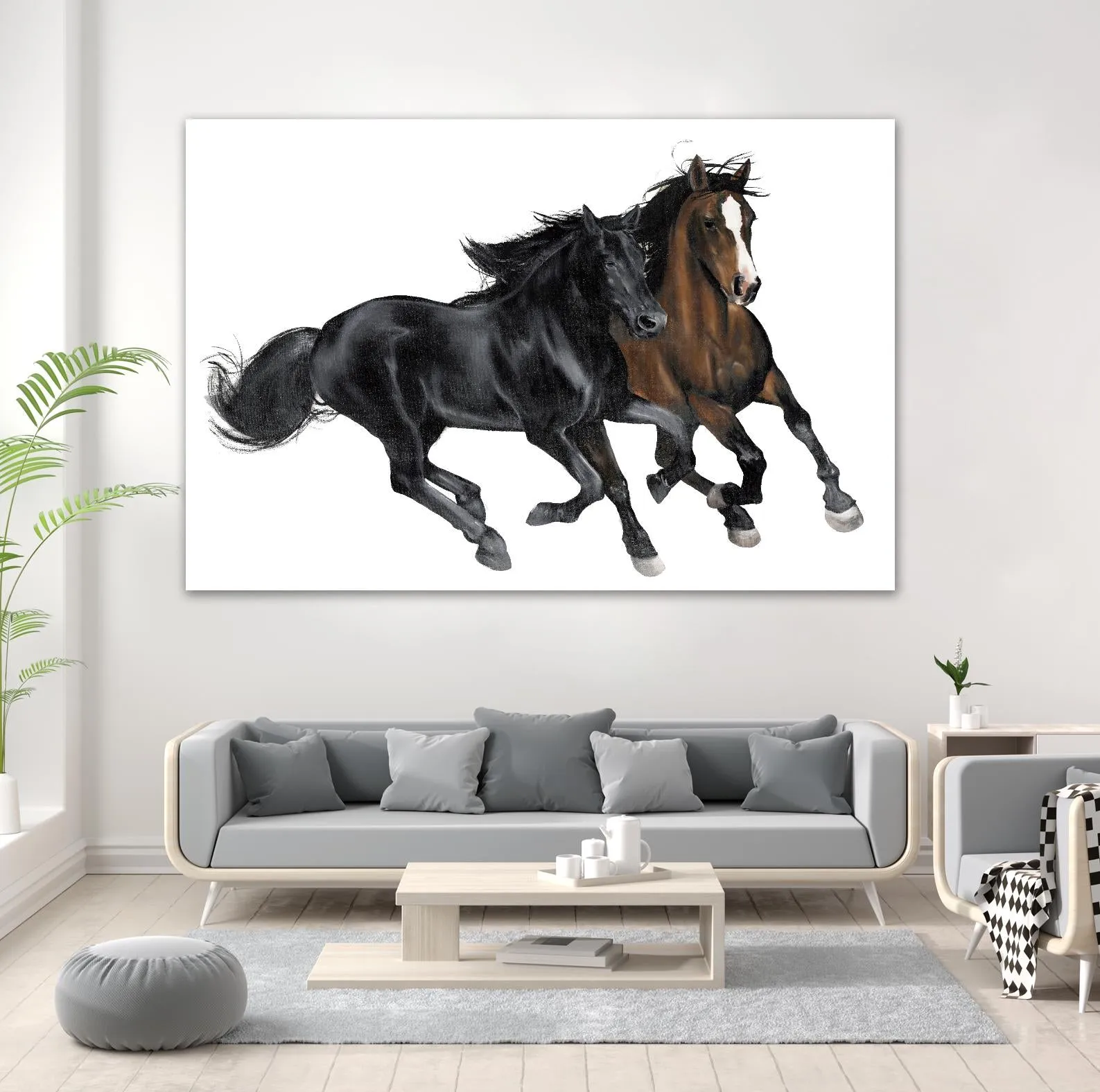 Black & Brown Horse