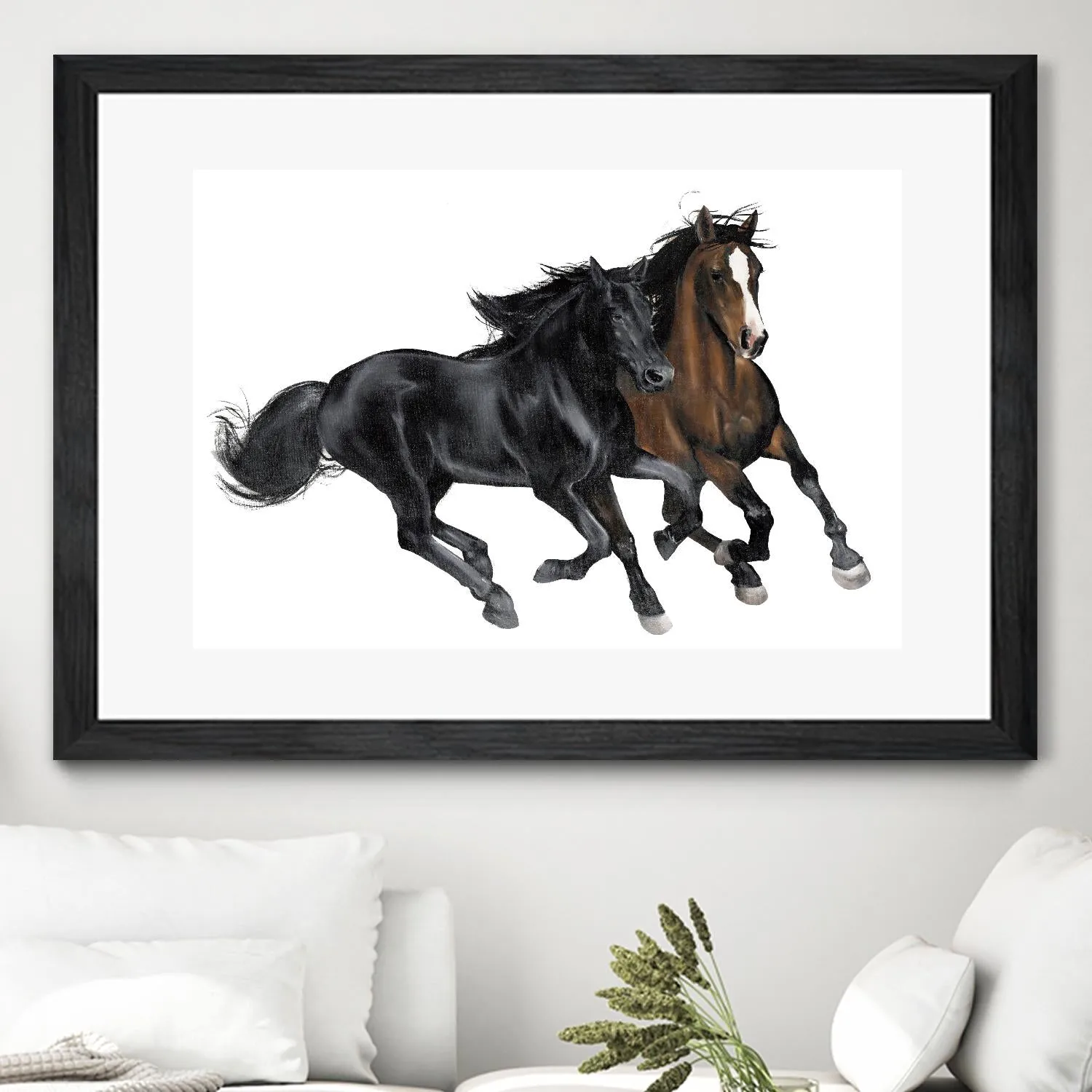 Black & Brown Horse