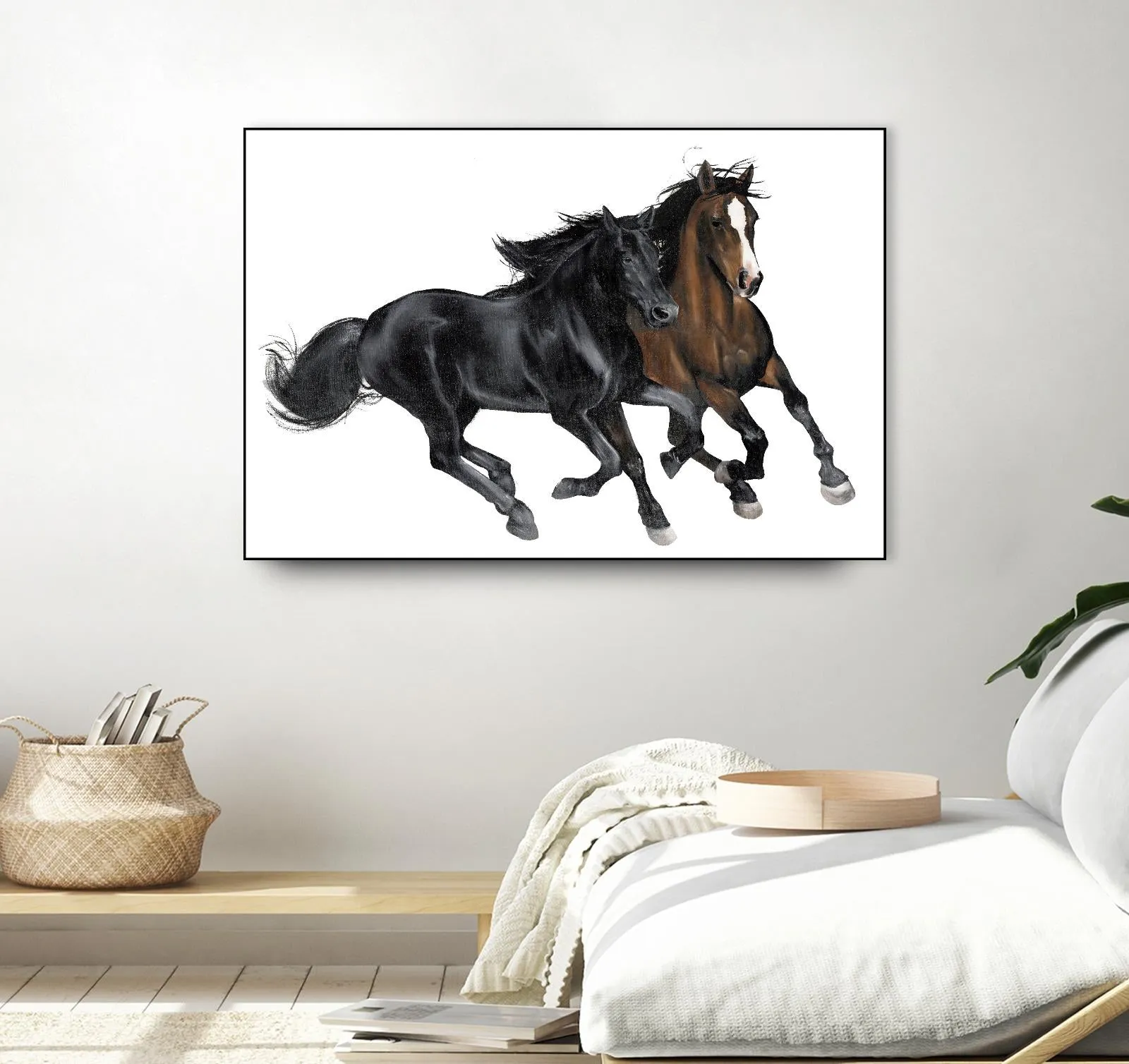 Black & Brown Horse