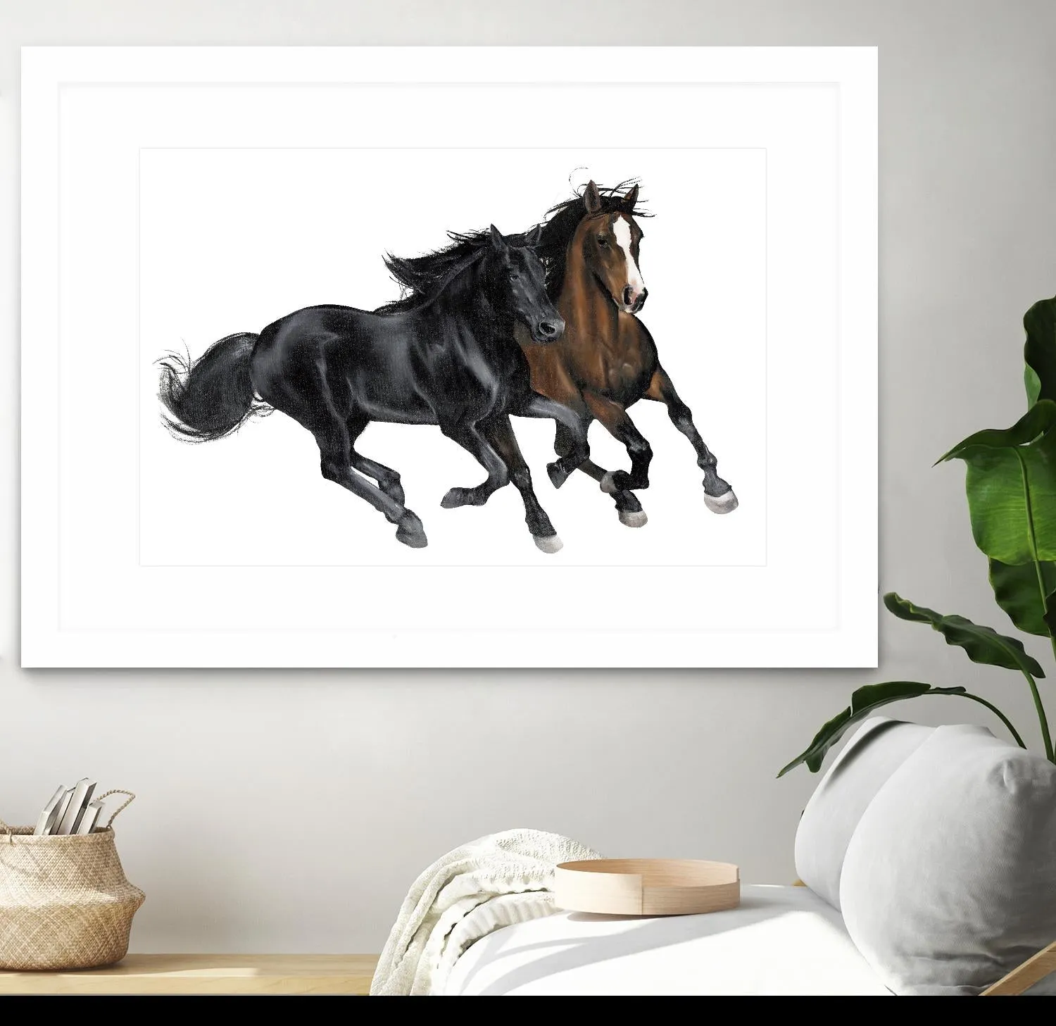 Black & Brown Horse