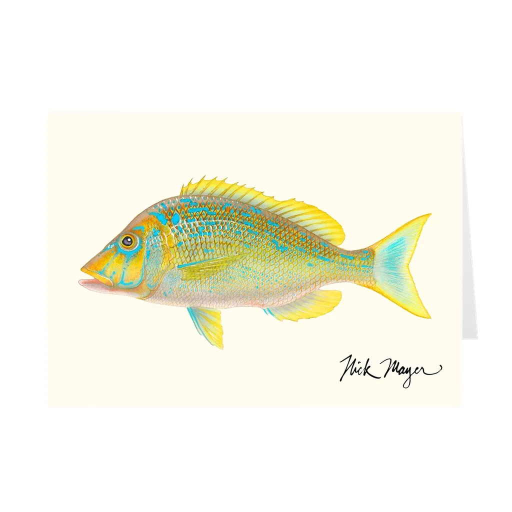 Blue Spangled Emperorfish Notecards