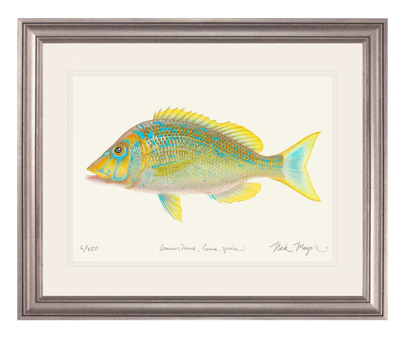 Blue Spangled Emperorfish Print