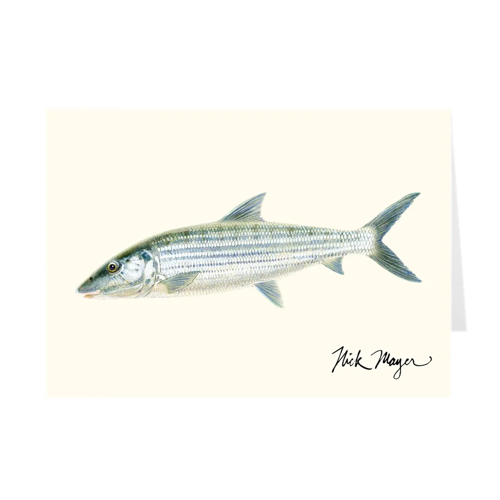 Bonefish Notecards