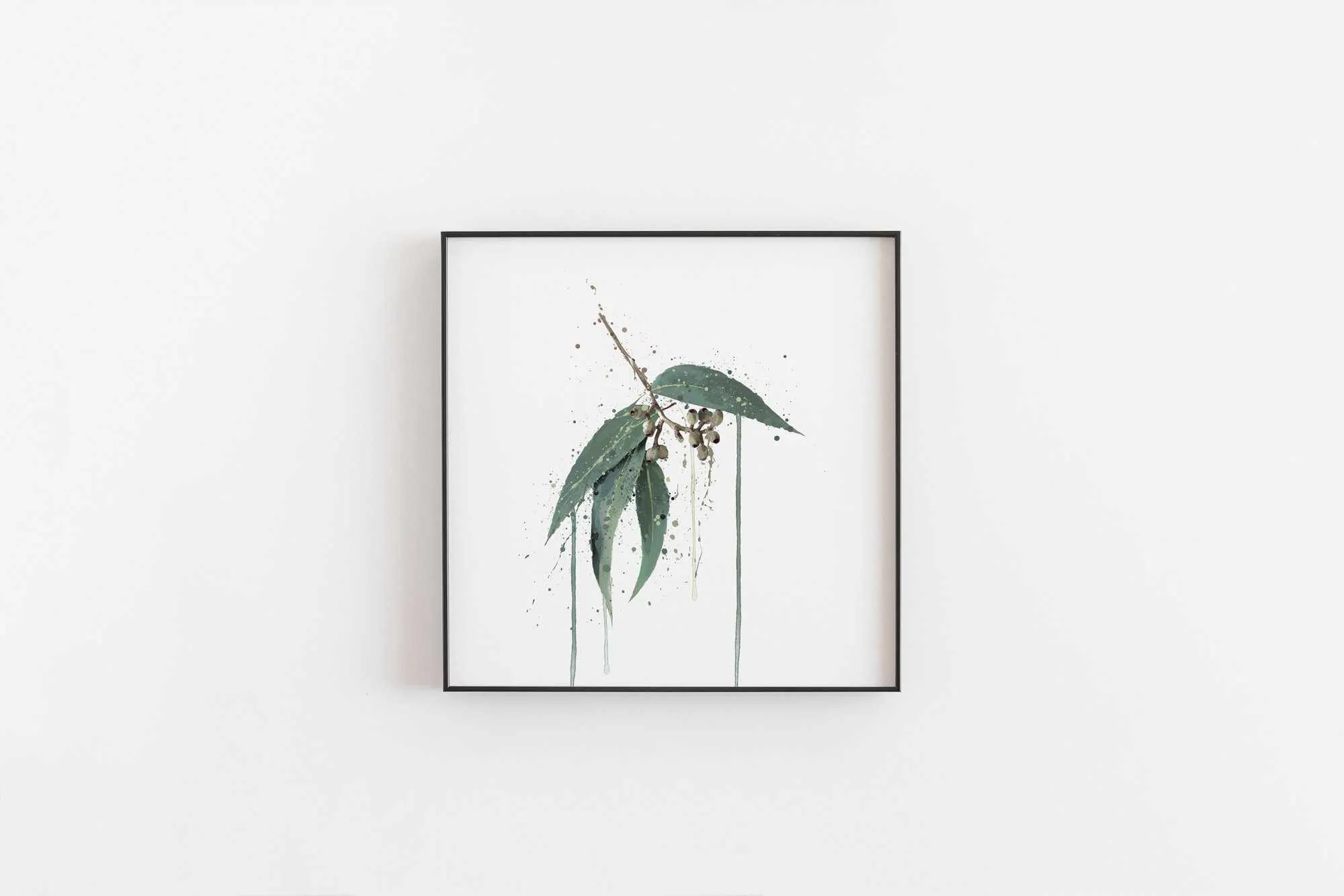 Botanical Wall Art Print ‘Eucalyptus’ - Plant Prints, Botanical Art Prints and Botanical Illustrations