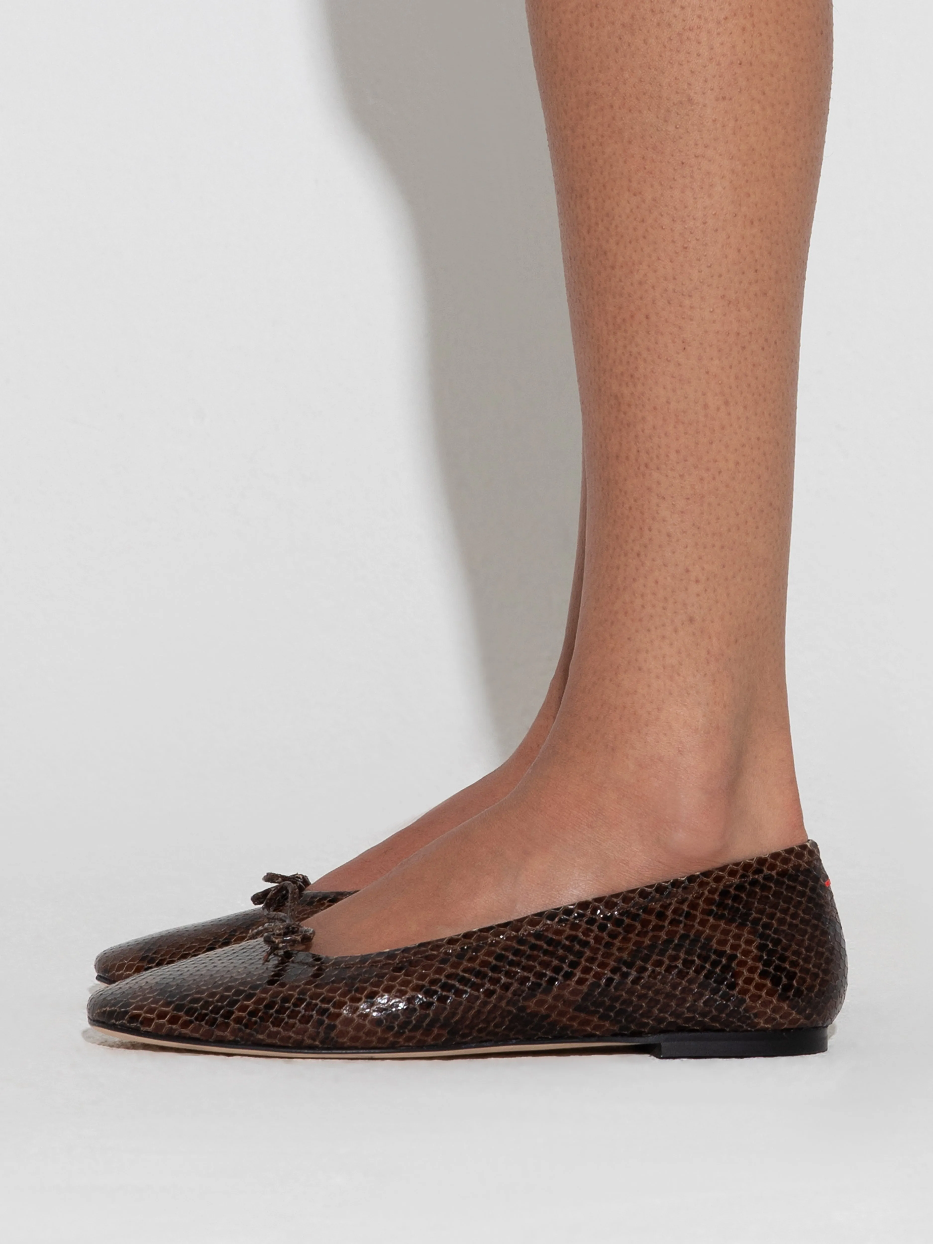 Delfina Leather Ballet Flats