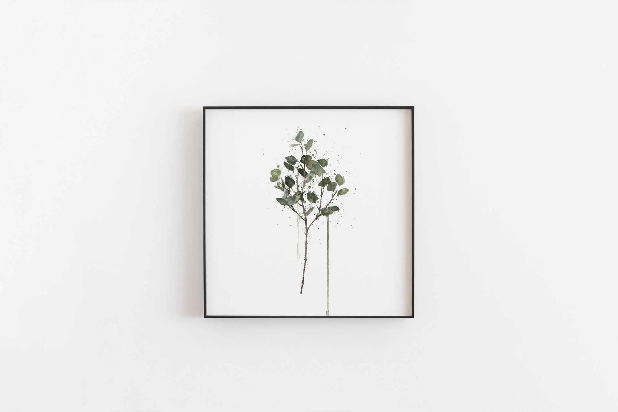 Eucalyptus Wall Art Print - Plant Prints, Botanical Art Prints and Botanical Illustrations