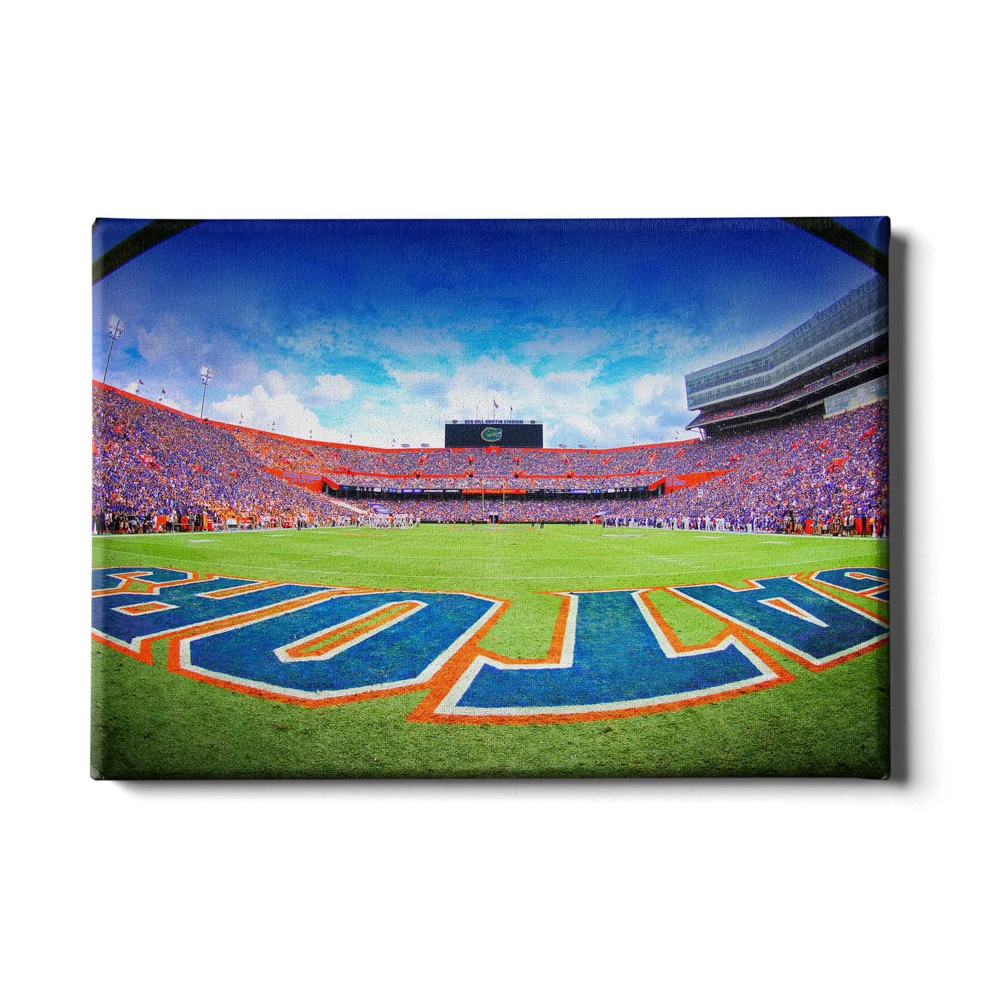 Florida Gators - Swamp End Zone