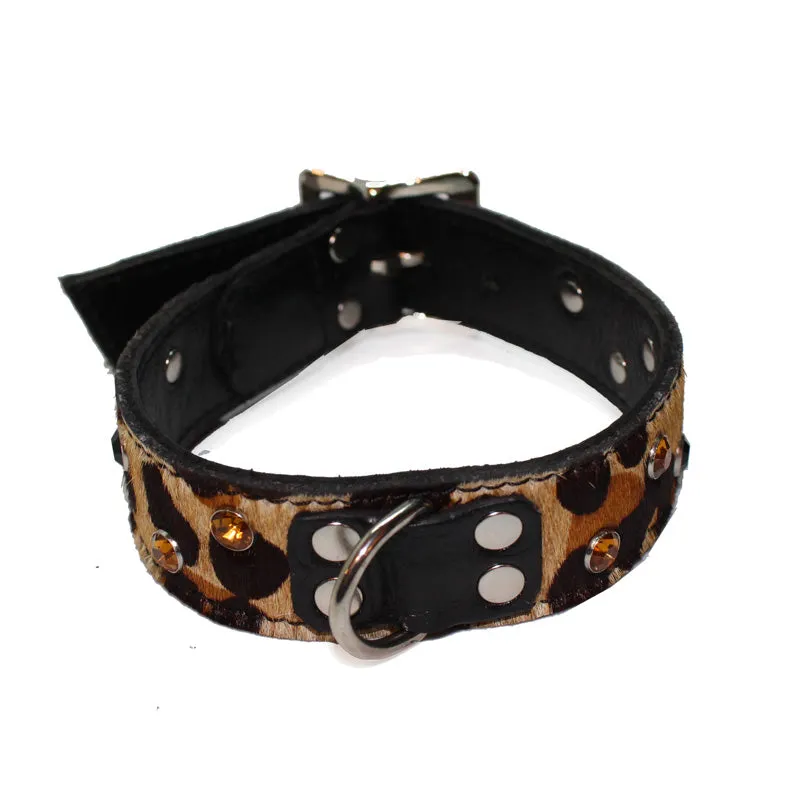 Large Pet Collar