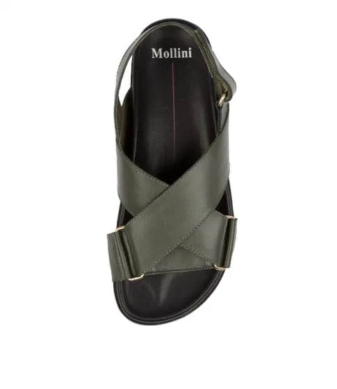 Mollini Haylow ~ Black ~ Olive Leather ~ Tan Spot