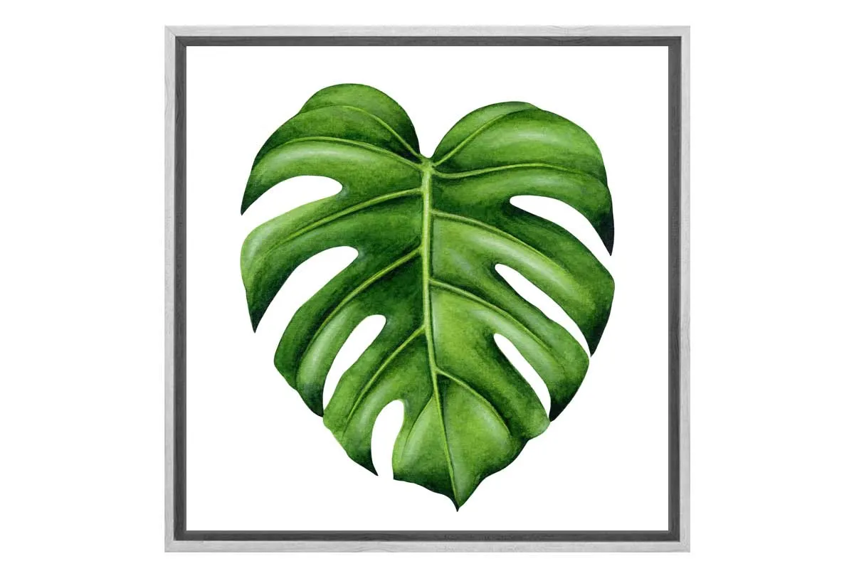 Monstera Leaf | Canvas Wall Art Print