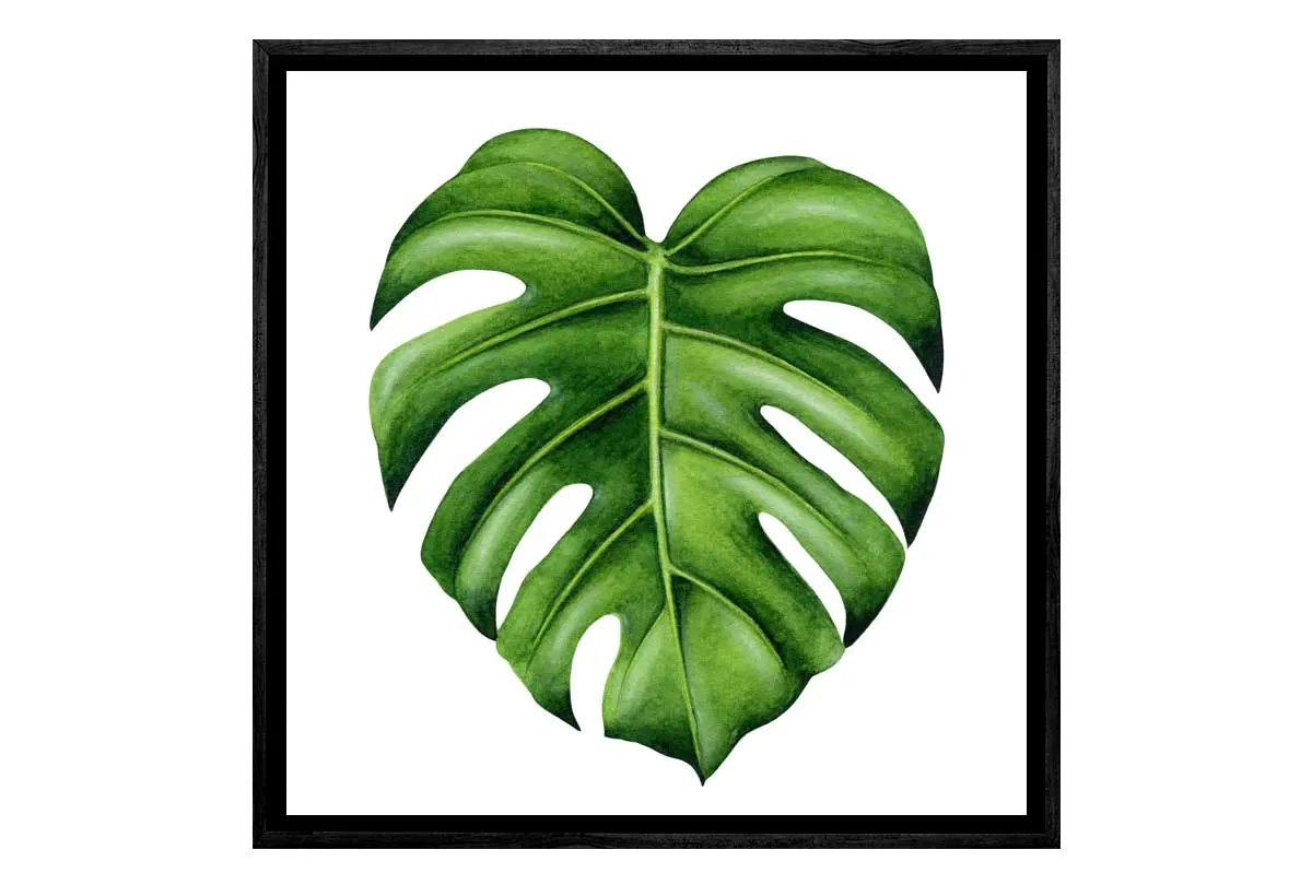 Monstera Leaf | Canvas Wall Art Print