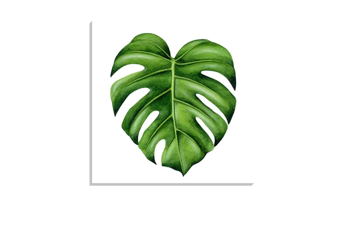 Monstera Leaf | Canvas Wall Art Print