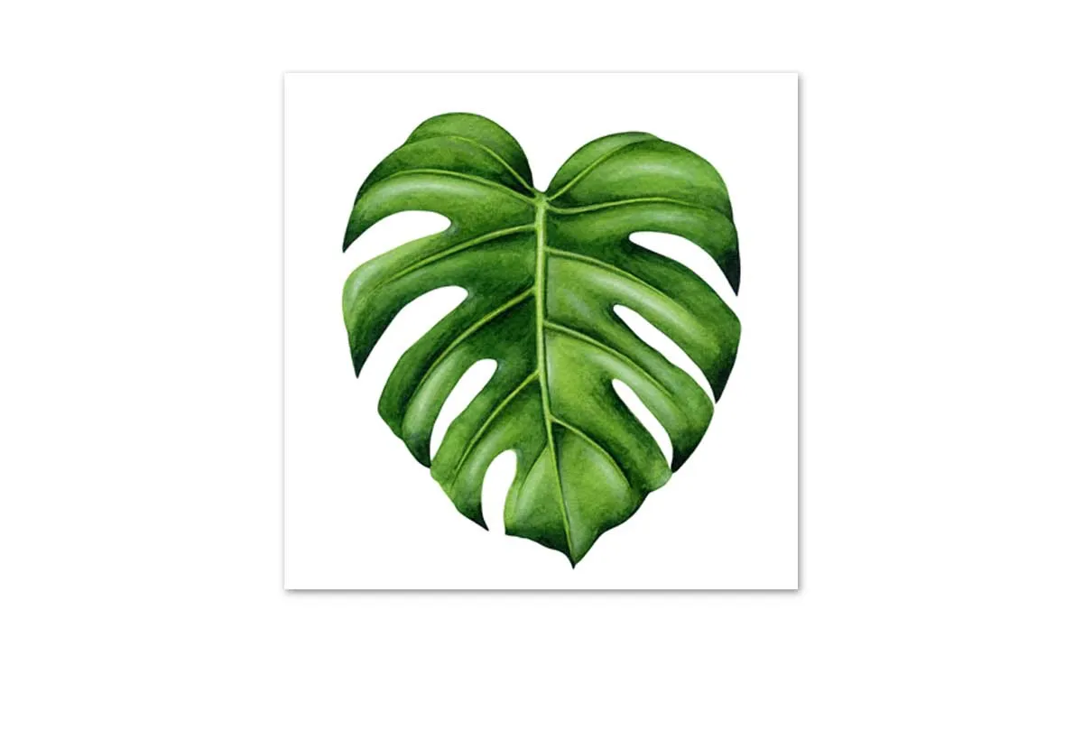 Monstera Leaf | Canvas Wall Art Print